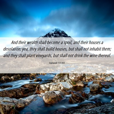 Picture 06 - Zephaniah 1:13 ASV - And their wealth shall become a spoil, and their - Bible Verse Picture