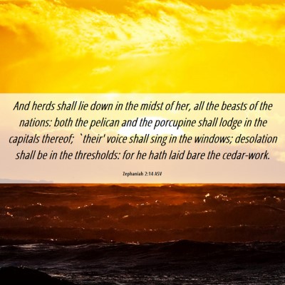 Picture 06 - Zephaniah 2:14 ASV - And herds shall lie down in the midst of her, all - Bible Verse Picture