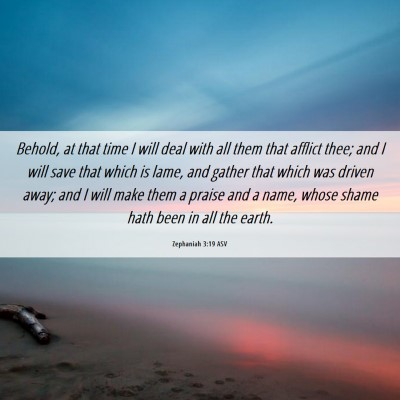 Picture 06 - Zephaniah 3:19 ASV - Behold, at that time I will deal with all them - Bible Verse Picture
