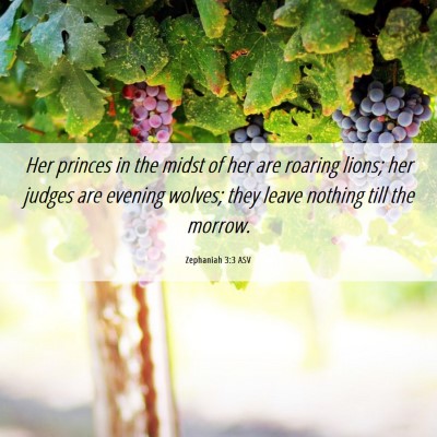 Picture 06 - Zephaniah 3:3 ASV - Her princes in the midst of her are roaring - Bible Verse Picture