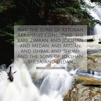 Picture 07 - 1 Chronicles 1:32 ASV - And the sons of Keturah, Abraham's concubine: she - Bible Verse Picture