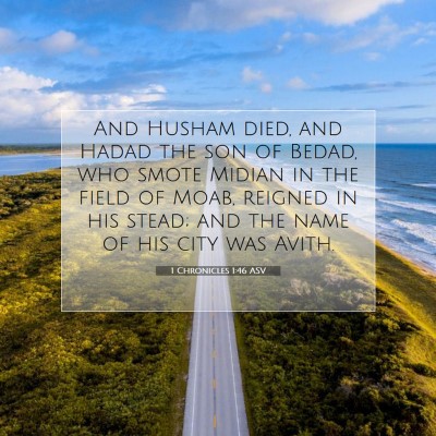 Picture 07 - 1 Chronicles 1:46 ASV - And Husham died, and Hadad the son of Bedad, who - Bible Verse Picture
