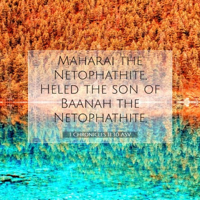 Picture 07 - 1 Chronicles 11:30 ASV - Maharai the Netophathite, Heled the son of Baanah - Bible Verse Picture