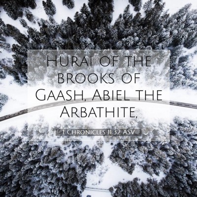 Picture 07 - 1 Chronicles 11:32 ASV - Hurai of the brooks of Gaash, Abiel the - Bible Verse Picture