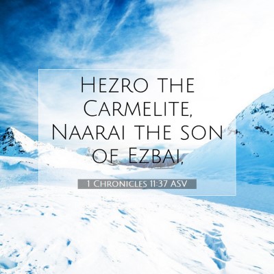 Picture 07 - 1 Chronicles 11:37 ASV - Hezro the Carmelite, Naarai the son of - Bible Verse Picture