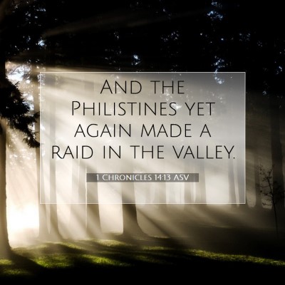 Picture 07 - 1 Chronicles 14:13 ASV - And the Philistines yet again made a raid in the - Bible Verse Picture
