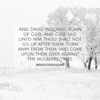 Picture 07 - 1 Chronicles 14:14 ASV - And David inquired again of God; and God said - Bible Verse Picture