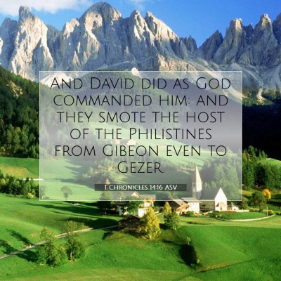 Picture 07 - 1 Chronicles 14:16 ASV - And David did as God commanded him: and they - Bible Verse Picture