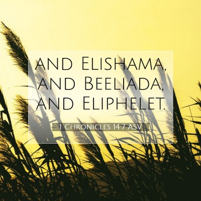 Picture 07 - 1 Chronicles 14:7 ASV - and Elishama, and Beeliada, and - Bible Verse Picture
