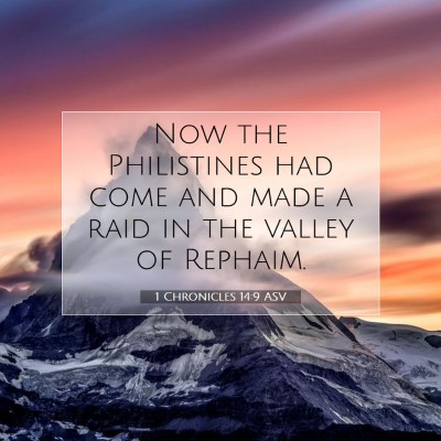 Picture 07 - 1 Chronicles 14:9 ASV - Now the Philistines had come and made a raid in - Bible Verse Picture