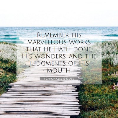 Picture 07 - 1 Chronicles 16:12 ASV - Remember his marvellous works that he hath done, - Bible Verse Picture