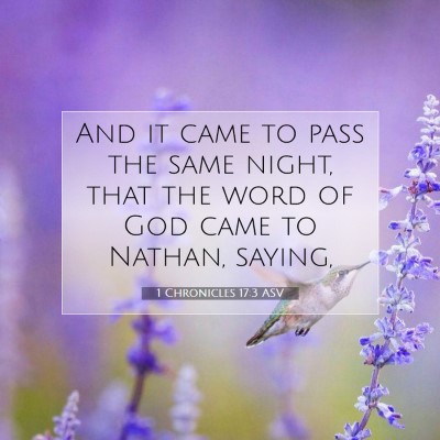 Picture 07 - 1 Chronicles 17:3 ASV - And it came to pass the same night, that the word - Bible Verse Picture