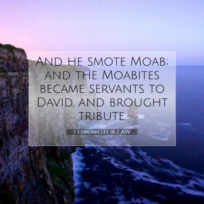 Picture 07 - 1 Chronicles 18:2 ASV - And he smote Moab; and the Moabites became - Bible Verse Picture