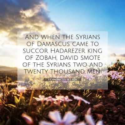 Picture 07 - 1 Chronicles 18:5 ASV - And when the Syrians of Damascus came to succor - Bible Verse Picture