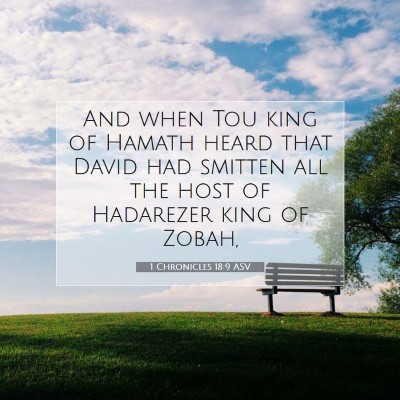 Picture 07 - 1 Chronicles 18:9 ASV - And when Tou king of Hamath heard that David had - Bible Verse Picture
