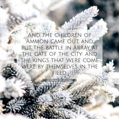 Picture 07 - 1 Chronicles 19:9 ASV - And the children of Ammon came out, and put the - Bible Verse Picture