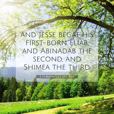 Picture 07 - 1 Chronicles 2:13 ASV - and Jesse begat his first-born Eliab, and - Bible Verse Picture