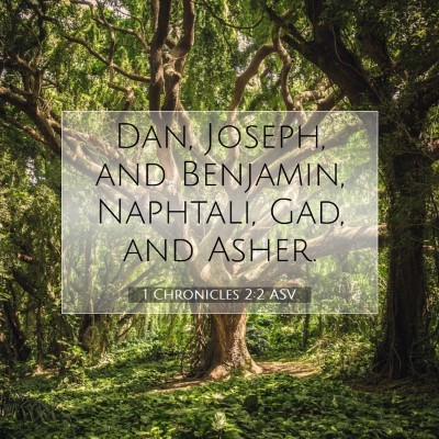 Picture 07 - 1 Chronicles 2:2 ASV - Dan, Joseph, and Benjamin, Naphtali, Gad, and - Bible Verse Picture