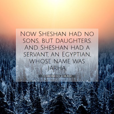 Picture 07 - 1 Chronicles 2:34 ASV - Now Sheshan had no sons, but daughters. And - Bible Verse Picture