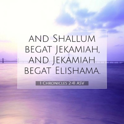 Picture 07 - 1 Chronicles 2:41 ASV - and Shallum begat Jekamiah, and Jekamiah begat - Bible Verse Picture