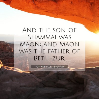 Picture 07 - 1 Chronicles 2:45 ASV - And the son of Shammai was Maon; and Maon was the - Bible Verse Picture