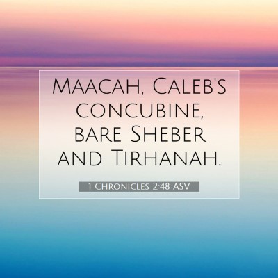 Picture 07 - 1 Chronicles 2:48 ASV - Maacah, Caleb's concubine, bare Sheber and - Bible Verse Picture