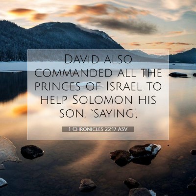 Picture 07 - 1 Chronicles 22:17 ASV - David also commanded all the princes of Israel to - Bible Verse Picture