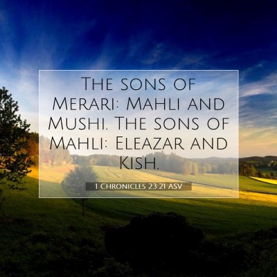 Picture 07 - 1 Chronicles 23:21 ASV - The sons of Merari: Mahli and Mushi. The sons of - Bible Verse Picture