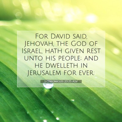 Picture 07 - 1 Chronicles 23:25 ASV - For David said, Jehovah, the God of Israel, hath - Bible Verse Picture