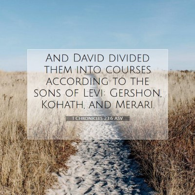 Picture 07 - 1 Chronicles 23:6 ASV - And David divided them into courses according to - Bible Verse Picture
