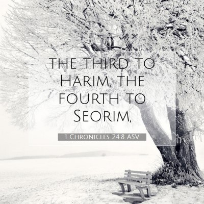 Picture 07 - 1 Chronicles 24:8 ASV - the third to Harim, the fourth to - Bible Verse Picture