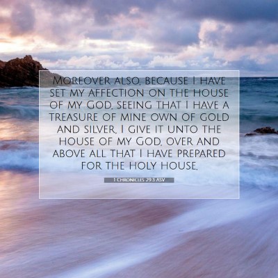 Picture 07 - 1 Chronicles 29:3 ASV - Moreover also, because I have set my affection on - Bible Verse Picture