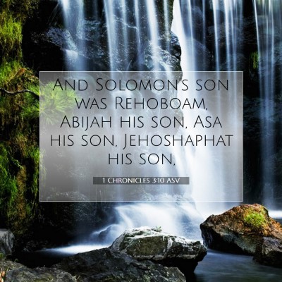 Picture 07 - 1 Chronicles 3:10 ASV - And Solomon's son was Rehoboam, Abijah his son, - Bible Verse Picture