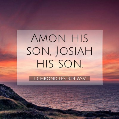 Picture 07 - 1 Chronicles 3:14 ASV - Amon his son, Josiah his - Bible Verse Picture