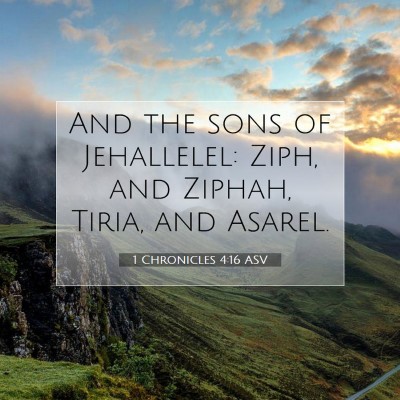Picture 07 - 1 Chronicles 4:16 ASV - And the sons of Jehallelel: Ziph, and Ziphah, - Bible Verse Picture