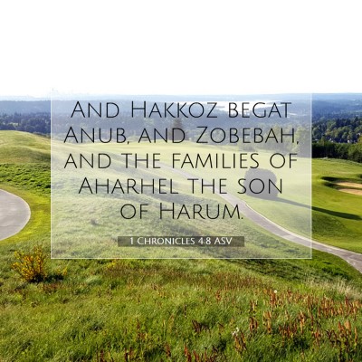 Picture 07 - 1 Chronicles 4:8 ASV - And Hakkoz begat Anub, and Zobebah, and the - Bible Verse Picture