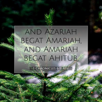 Picture 07 - 1 Chronicles 6:11 ASV - and Azariah begat Amariah, and Amariah begat - Bible Verse Picture