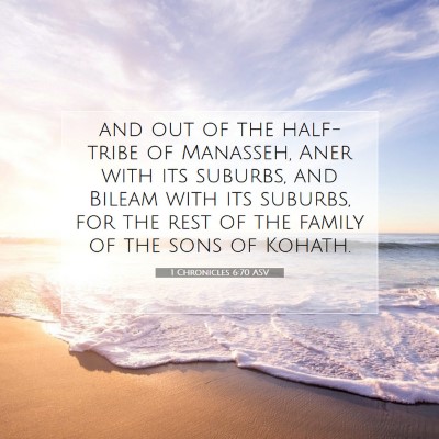 Picture 07 - 1 Chronicles 6:70 ASV - and out of the half-tribe of Manasseh, Aner with - Bible Verse Picture