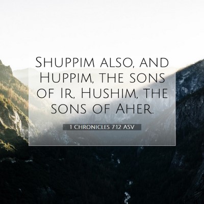 Picture 07 - 1 Chronicles 7:12 ASV - Shuppim also, and Huppim, the sons of Ir, Hushim, - Bible Verse Picture