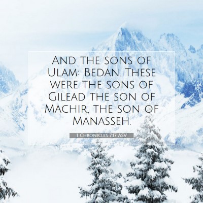 Picture 07 - 1 Chronicles 7:17 ASV - And the sons of Ulam: Bedan. These were the sons - Bible Verse Picture