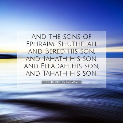Picture 07 - 1 Chronicles 7:20 ASV - And the sons of Ephraim: Shuthelah, and Bered his - Bible Verse Picture