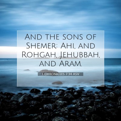 Picture 07 - 1 Chronicles 7:34 ASV - And the sons of Shemer: Ahi, and Rohgah, - Bible Verse Picture