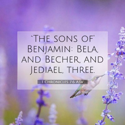Picture 07 - 1 Chronicles 7:6 ASV - `The sons of' Benjamin: Bela, and Becher, and - Bible Verse Picture