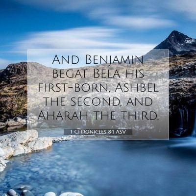 Picture 07 - 1 Chronicles 8:1 ASV - And Benjamin begat Bela his first-born, Ashbel - Bible Verse Picture