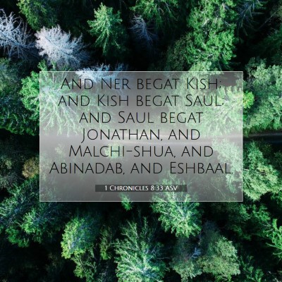Picture 07 - 1 Chronicles 8:33 ASV - And Ner begat Kish; and Kish begat Saul; and Saul - Bible Verse Picture