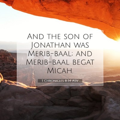 Picture 07 - 1 Chronicles 8:34 ASV - And the son of Jonathan was Merib-baal; and - Bible Verse Picture