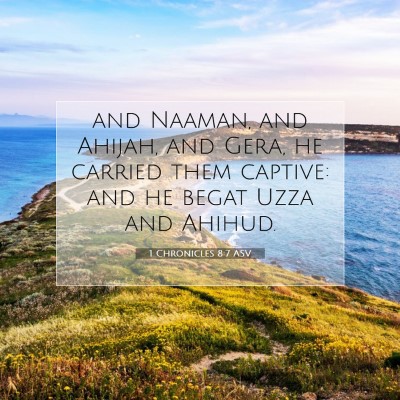 Picture 07 - 1 Chronicles 8:7 ASV - and Naaman, and Ahijah, and Gera, he carried them - Bible Verse Picture