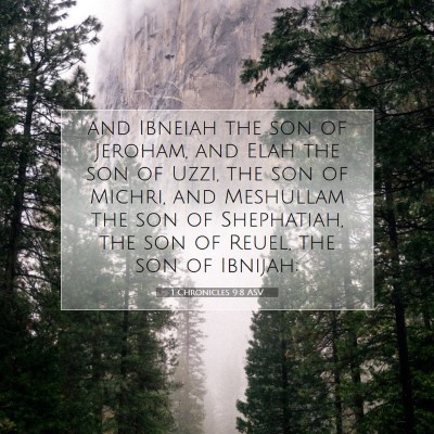 Picture 07 - 1 Chronicles 9:8 ASV - and Ibneiah the son of Jeroham, and Elah the son - Bible Verse Picture