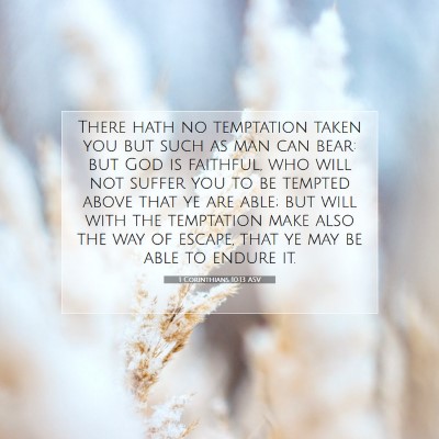 Picture 07 - 1 Corinthians 10:13 ASV - There hath no temptation taken you but such as - Bible Verse Picture