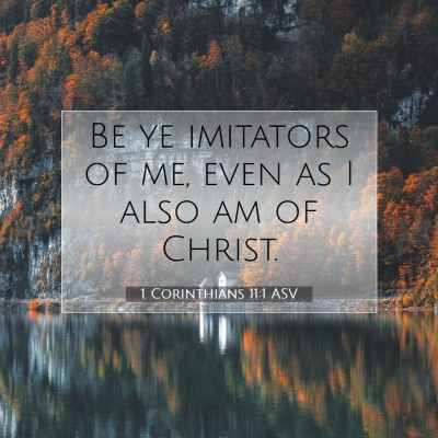 Picture 07 - 1 Corinthians 11:1 ASV - Be ye imitators of me, even as I also am of - Bible Verse Picture